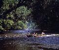 Taman Negara Nationalpark