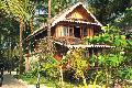 Village Cottage