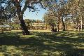 Moorooroo Park