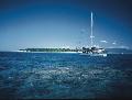 Ocean Free Segelschiff vor Green Island