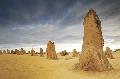 Pinnacles im Nambung Nationalpark