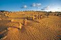 Pinnacles im Nambung Nationalpark