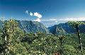 Landschaft auf La Reunion