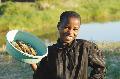 Einheimische mit Fisch - das tägliche Brot in Malawi