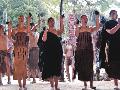 Traditioneller Maoritanz