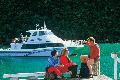 In den Marlborough Sounds 