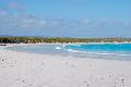 Strand auf Santa Cruz, Galapagos