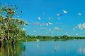 Amazonas