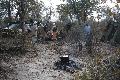 Shamiso Bushcamp