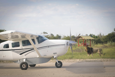 Flugsafaris Teaserbild