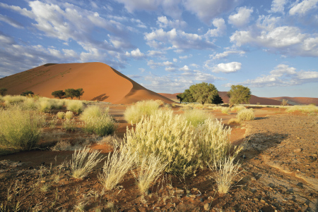 Namibia Teaserbild