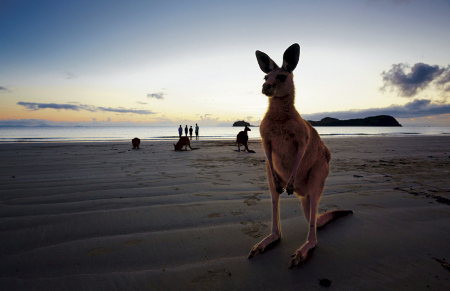 Australien Teaserbild